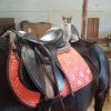 Katze auf Pferd